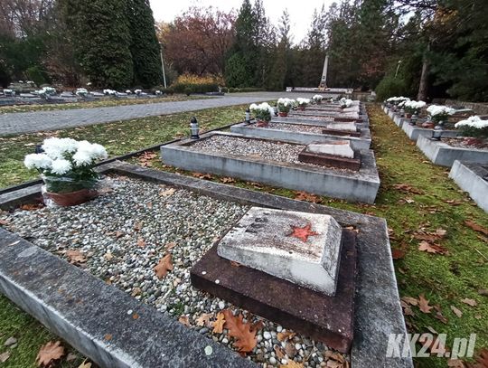 Setki chryzantem na cmentarzu żołnierzy radzieckich. To kwiaty skupione przez rząd po Wszystkich Świętych