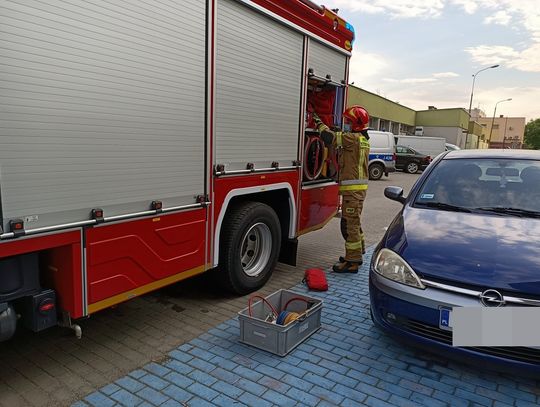 Służby ratunkowe w wieżowcu przy ulicy Pionierów. Mieszkańcy od dłuższego czasu nie widzieli sąsiada