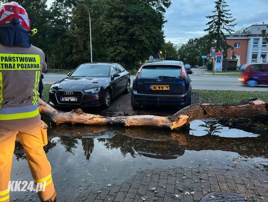 Służby wciąż usuwają skutki nawałnicy. Na zaparkowane samochody spadł konar drzewa