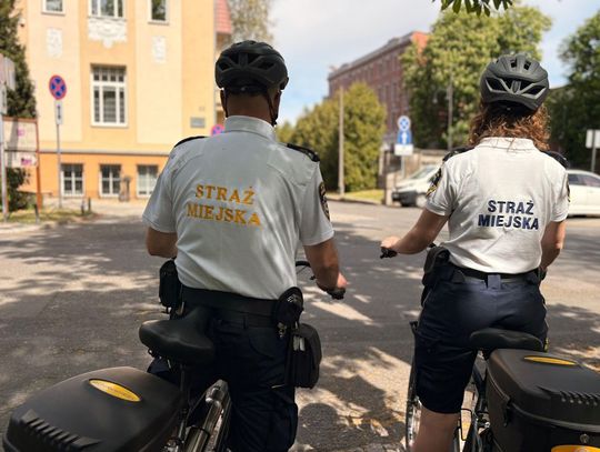 Straż Miejska w Kędzierzynie-Koźlu rekrutuje. Podano wymagania i wysokość początkowego wynagrodzenia