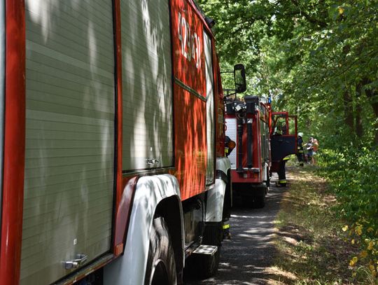 Tylko dziś strażacy dwukrotnie interweniowali do pożarów lasów w Kędzierzynie