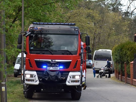 Strażacy gasili ognisko pozostawione w lesie przy alei Jana Pawła II