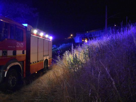 Strażacy gasili pożar nasypu kolejowego. Wieczorna interwencja na Żabieńcu