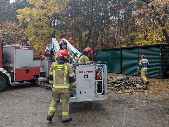 Strażacy interweniowali przy Publicznej Szkole Podstawowej nr 9. Usunęli niebezpieczne konary i martwe drzewo