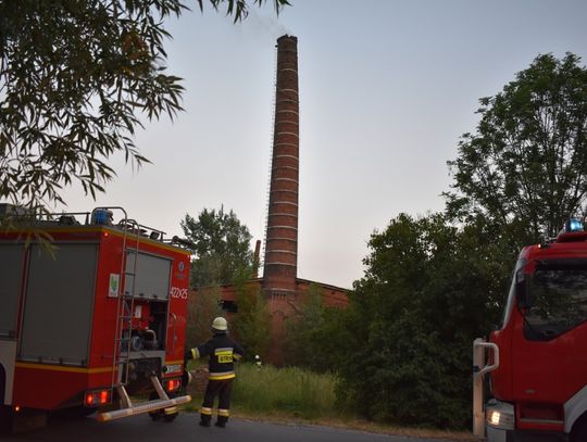 Strażacy interweniowali w Kobylicach. Doszło do pożaru na terenie byłej cegielni