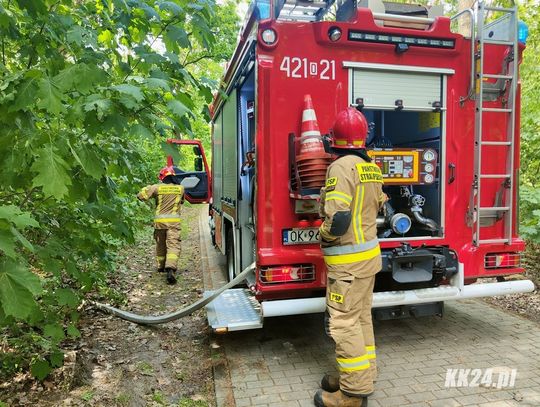 Strażacy interweniowali w Śródmieściu. Pożar za krytą pływalnią