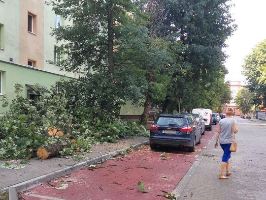 Strażacy mieli sporo pracy z usuwaniem skutków burzy. Tym razem obyło się bez dramatów