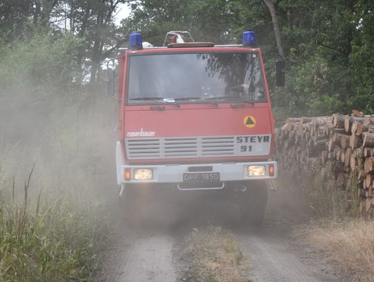 Strażacy walczą z pożarem lasu w Azotach. Ogień gaszony jest z ziemi i powietrza