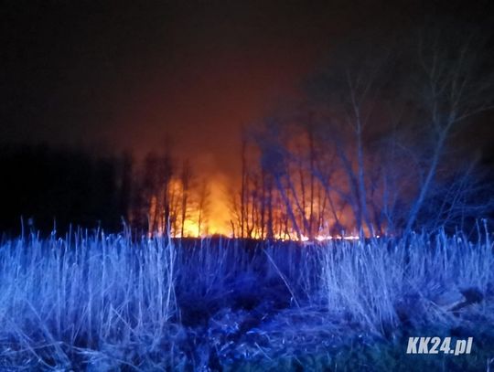 Strażacy walczyli z pożarem w Ciężkowicach. Płonął hektar nieużytków