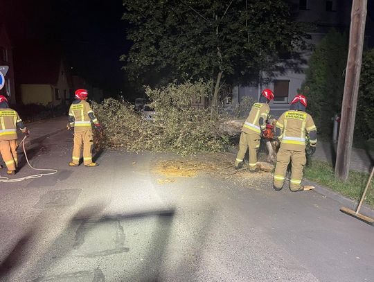 Strażacy wezwani do niebezpiecznie pochylonego drzewa. Podjęto decyzję o jego wycince