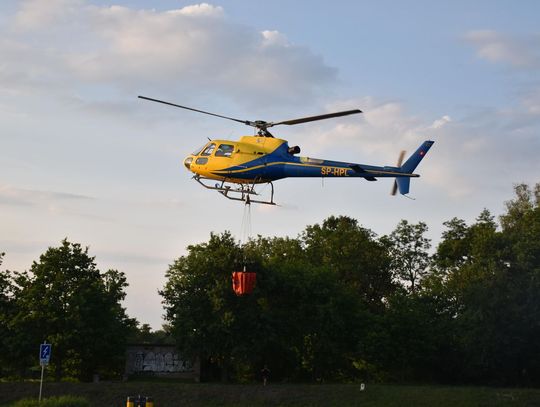 Strażacy z całej gminy gasili pożar lasu. W akcji brało udział 13 zastępów, quad, dron i śmigłowiec gaśniczy
