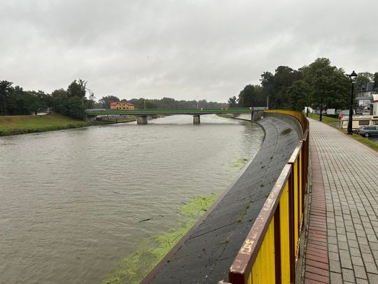 Strefa stanów wysokich na Kłodnicy i w Kamionce. Aktualna sytuacja hydrologiczna w regionie