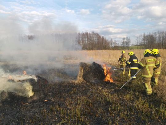 Suche trawy znów płoną. Strażacy gasili pożar nieużytków w Ciężkowicach