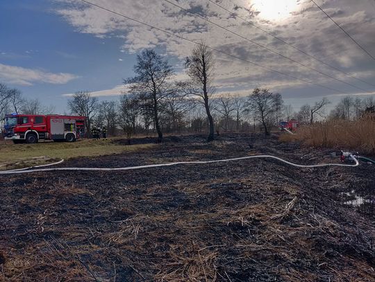 Suche trawy znów płoną. Strażacy gasili pożar nieużytków w Lenartowicach
