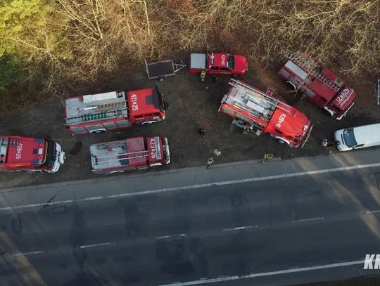 Szczęśliwy finał poszukiwań zaginionego grzybiarza. Mężczyzna samodzielnie wyszedł z lasu