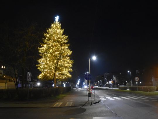 Teatr Ognia, poczęstunek i fotobudka. Rada Osiedla Piastów-Powstańców zaprasza na spotkanie choinkowe