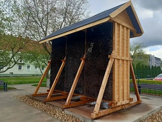Tężnia solankowa przy Kościuszki znów z problemami. Miasto wysłało ekipę techniczną
