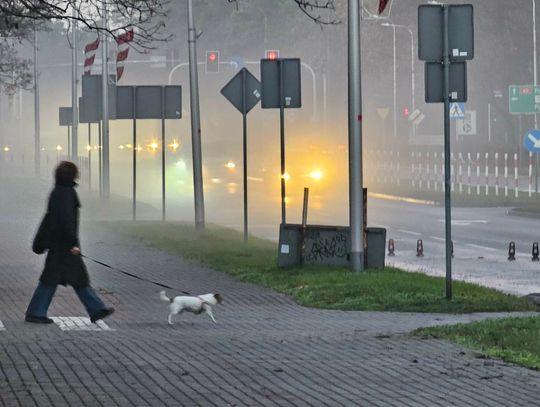 To może być mglista noc. IMGW wydał alert dla mieszkańców naszego powiatu