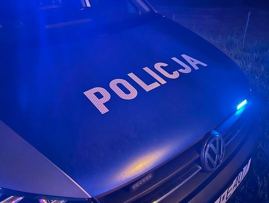 Truchło psa w sportowej torbie wrzucone do Kanału Gliwickiego. Policja szuka właściciela i apeluje o pomoc
