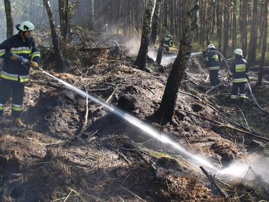 Trzeci, najwyższy stopień zagrożenia pożarowego. Leśnicy apelują o ostrożność w lasach