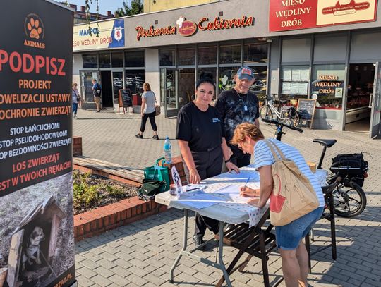 Chcą poprawić los zwierząt. Już w sobotę zbiórka podpisów w galerii Odrzańskie Ogrody