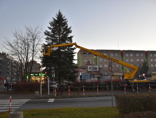 Tysiące lampek rozbłysną na prawdziwej choince. Będzie też świąteczne spotkanie z Radą Osiedla Piastów-Powstańców Śląskich