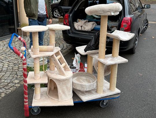 Urzędnicy magistratu dołączyli do akcji „Zbiórka pyszności dla futrzastości”. Przekazali karmę i akcesoria