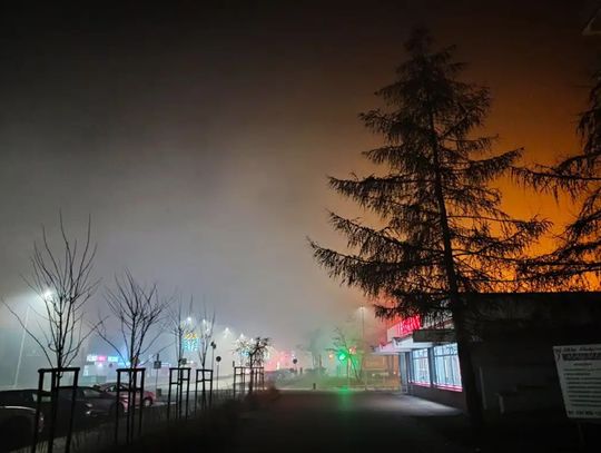 Uwaga kierowcy! W nocy i nad ranem gęste mgły nad powiatem kędzierzyńsko-kozielskim