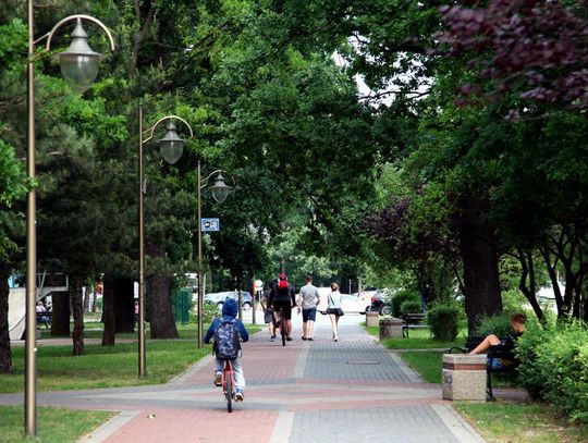 W Kędzierzynie-Koźlu może powstać gigantyczny park. Ciekawy pomysł urzędu miasta