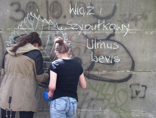 W Kędzierzynie-Koźlu powstało niezwykłe graffiti. Żeby je zobaczyć, najpierw musi urosnąć