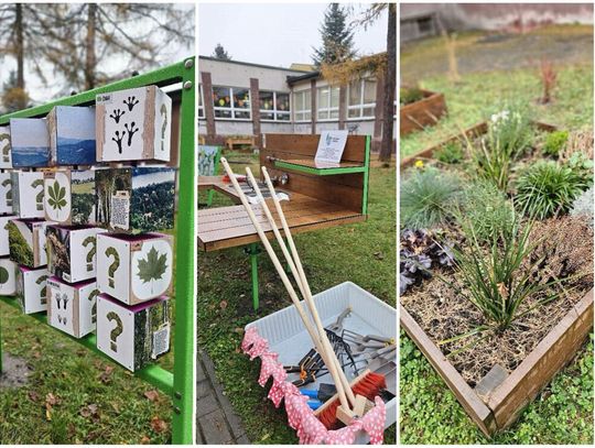 W Publicznej Szkole Podstawowej nr 3 powstała "Pracownia pod chmurką". Teraz lekcje przyrody są dużo ciekawsze