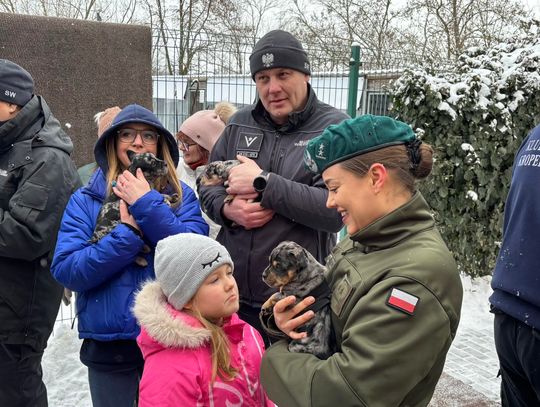 Wielkie serca dla bezdomnych zwierząt. Finał „Zbiórki pyszności dla futrzastości” w miejskim schronisku