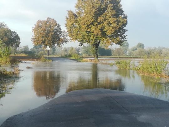 Woda z Odry zalała drogę z Bierawy do Ciska. Policjanci wyznaczyli objazdy