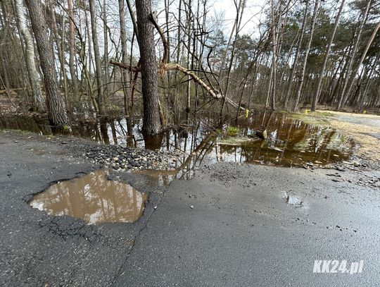 Woda z pól i lasów zalewa drogę. Problem z odwodnieniem w rejonie mostu na nowej obwodnicy