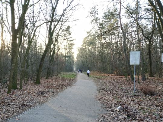 Wszystkie lasy w okolicy Kędzierzyna-Koźla dostępne dla mieszkańców. Nadleśnictwo w całości odwołało zakaz