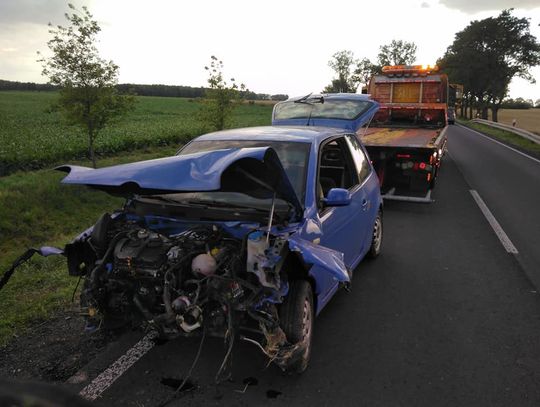 Wypadek na drodze krajowej nr 38. Dwie osoby trafiły do szpitala. ZDJĘCIA