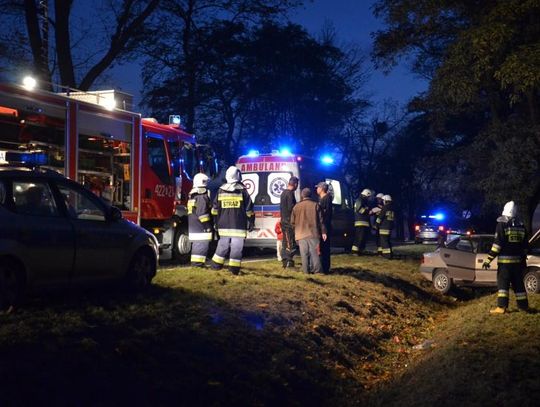 Wypadek na drodze krajowej nr 38. Dwie osoby zostały poszkodowane. ZDJĘCIA