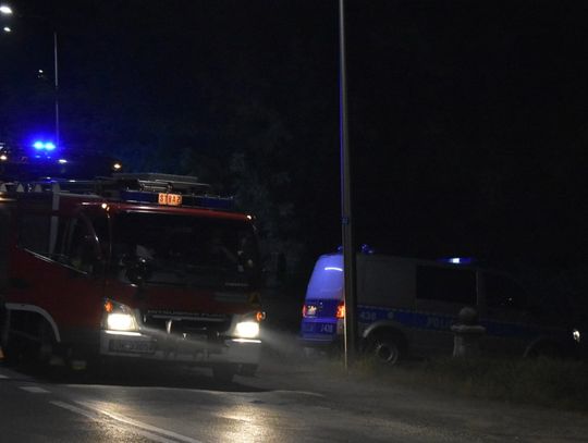 Wypalał gniazdo os, spowodował pożar. Strażacy interweniowali na działkach przy Gliwickiej