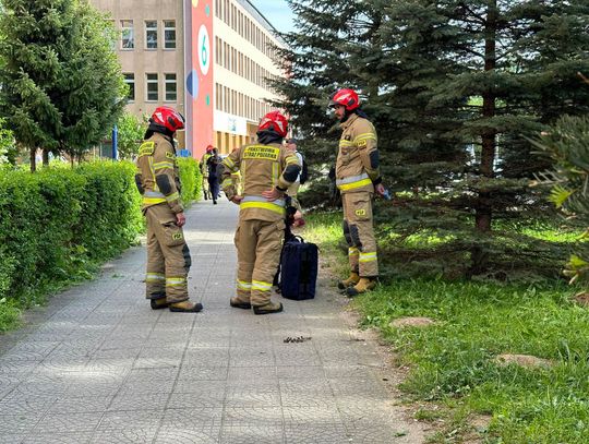Z bloku w centrum Kędzierzyna-Koźla wypadł mężczyzna. Trwa walka o jego życie. Służby ratunkowe na miejscu