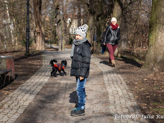 Z cyklu "Spojrzeć głębiej": Czego chcę od mojego dziecka?