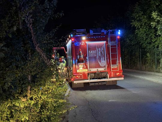 Zadymienie nad ogródkami działkowymi. Na miejscu dwa zastępy straży pożarnej
