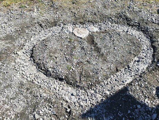 Zakochaj się na… Dębowej. Zobaczcie serca na drzewach i kamieniach