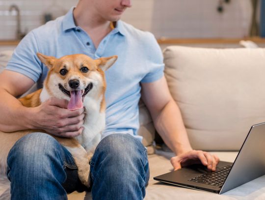 Zakupy w sklepie online: jak ocenić jakość?