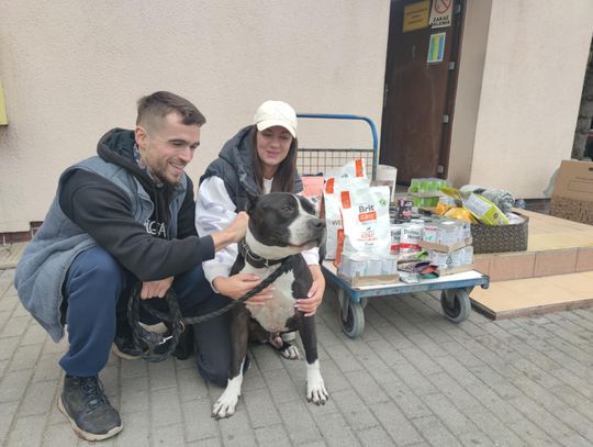 Zamiast kwiatów – pomoc dla zwierząt. Młodzi małżonkowie z Kędzierzyna-Koźla dali piękny przykład