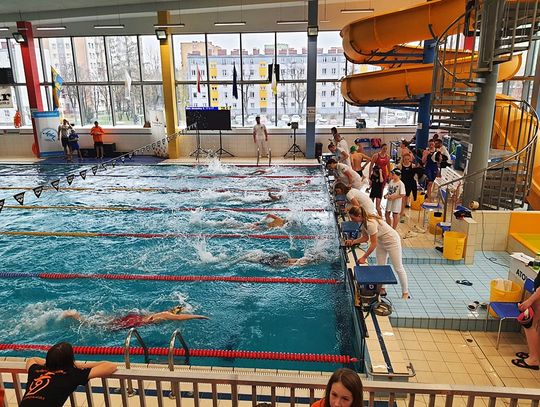 Zawodnicy Swim Team MOSIR z 32 medalami! Sukcesy kędzierzyńsko-kozielskich pływaków.