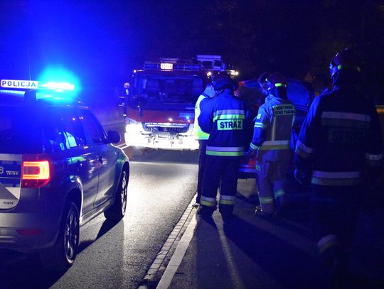 Zderzenie z dzikiem zakończone interwencją straży pożarnej i policji