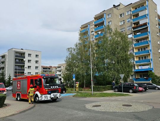 Zgłoszenie dotyczące zapachu siarki na osiedlu Powstańców Śląskich. Interweniowali strażacy