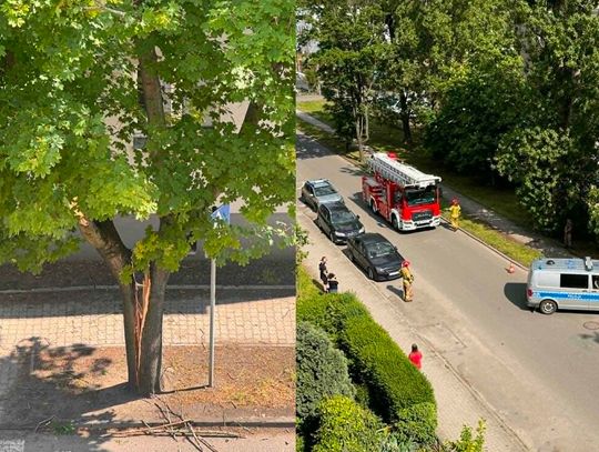 Zgłoszenie o pękniętym drzewie przy ulicy Stalmacha. Interweniowała policja i straż