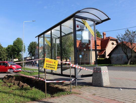 Zielony przystanek w Kędzierzynie-Koźlu. Na autobus poczekasz w otoczeniu bluszczy, traw i krzewów