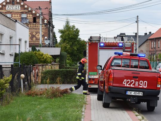 Żmija dostała się pod elewację budynku mieszkalnego. Interweniowali strażacy